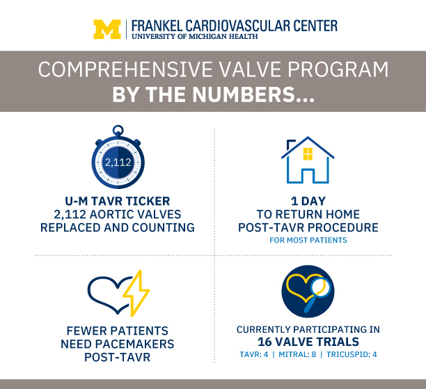Infographic showing Valve Program Outcomes by the number