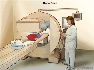 Bone scan; drawing shows a child lying on a table that slides under the scanner, a technician operating the scanner, and a computer monitor that will show images made during the scan.